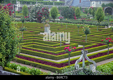 historischen Gemüsegarten Gemüsegarten im Chateau de Villandry Loiretal France Stockfoto