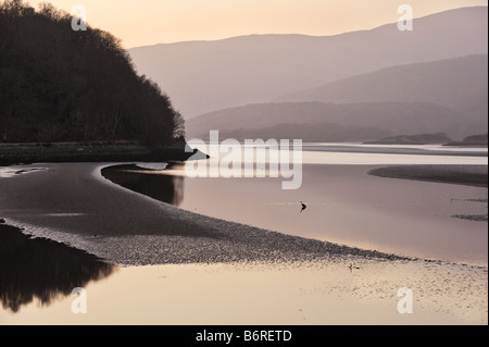 Sonnenuntergang über den Mawddach Mündung mit Reiher in Wasser, in der Nähe von Wales, Wales, UK Stockfoto