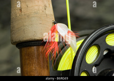 Fliege Fischen Stockfoto