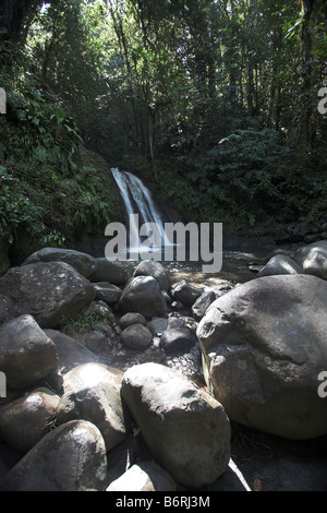 Crevisses Wasserfall oder La Cascade Aux Ecrevisses Wasserfall in Basse-Terre, Guadeloupe in der Karibik, Französische Antillen Stockfoto