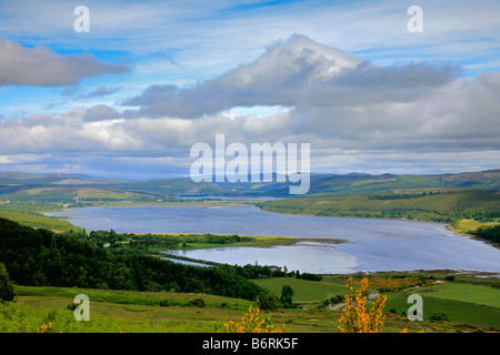 Landschaft Sommer Blick über Dornoch Firth von Struie Bonnar Brücke Sutherland Hochland von Schottland, Vereinigtes Königreich Stockfoto