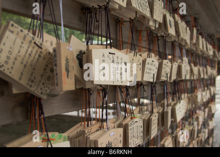 Gebete auf kleine Holzklötzchen unter den Wunsch Baum Meiji-Schrein, Tokyo, Japan. Stockfoto