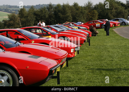 Roter Ferrari Autos aufgereiht warten auf Rennen in Harewood Speed Hillclimb in Yorkshire, England.  Greenwood Cup 2008 zu treffen. Stockfoto