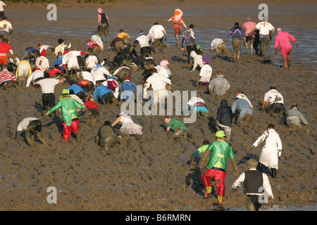 Konkurrenten in die jährliche Mad Maldon Mud Race. Fluß Blackwater, Essex, UK Stockfoto