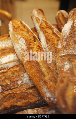 Französische Baguettes, Avignon, Frankreich Stockfoto