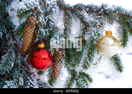 zwei Kugeln hängen vom Weihnachtsbaum Stockfoto