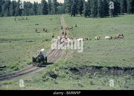 Cowboys und einem Planwagen Herde eine kleine Herde von Longhorn-Rinder auf einen hohen Bergstraße auf ein Almabtrieb, Norden von New Mexico. Stockfoto