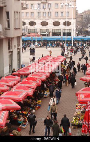 KROATIEN, ZAGREB. Blume im Erdgeschoss Dolac Markt den wichtigsten Markt in Zagreb. Stockfoto