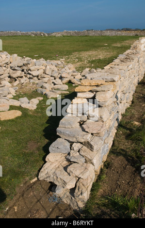 Trockenmauer gebaut in den Purbeck Hills, Dorset Stockfoto