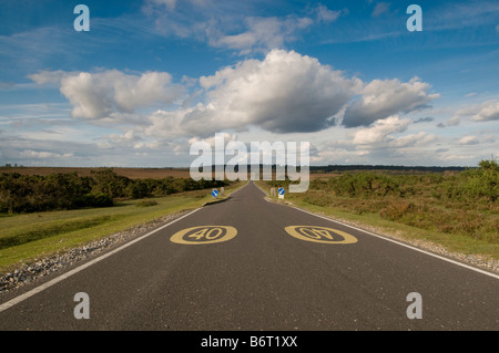 Geradeaus durch die Heidelandschaft des New Forest National Park, Hampshire, England, UK Stockfoto