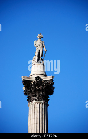 Nelson Säule, Trafalgar Square, London UK Stockfoto