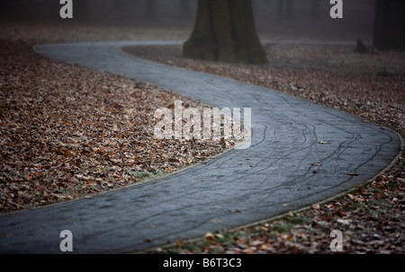 Ein Pfad führt durch den Wald in stilmäßig Park, Birmingham, UK Stockfoto