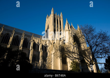 National Cathedral - Washington DC Stockfoto