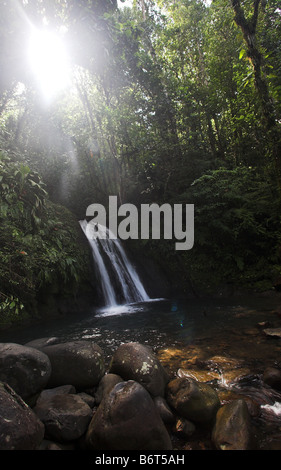 Crevisses Wasserfall oder La Cascade Aux Ecrevisses Wasserfall in Basse-Terre, Guadeloupe in der Karibik, Französische Antillen Stockfoto