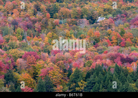 Herbstfarben von Vermont October5 2008 Stockfoto