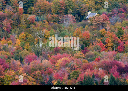 Herbstfarben von Vermont October5 2008 Stockfoto