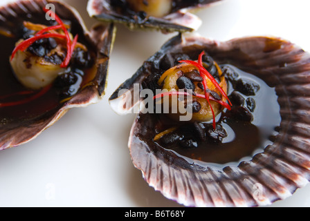 Frische Jakobsmuscheln gekocht in einem chinesischen Chili und Schwarze Bohnensosse Stockfoto