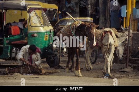 Fahrer, die Festsetzung seiner Auto-Rikscha (Tuck Tuck) in Alt-Delhi Stockfoto