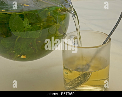 Gießen heißen Pfefferminztee aus Glas mit Pfefferminztee in einem Tee Glas frische grüne Blätter Minze Im Heißwasser schwimmen Stockfoto