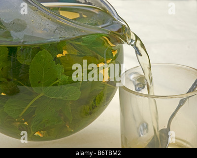 Gießen heißen Pfefferminztee aus Glas mit Pfefferminztee in einem Tee Glas frische grüne Blätter Minze Im Heißwasser schwimmen Stockfoto