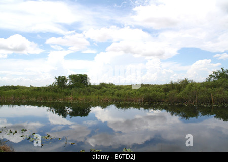 Sumpf in Florida Everglades mit großen Wolkenformationen im Hintergrund Stockfoto