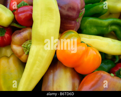 verschiedene süße Paprika, California Stockfoto