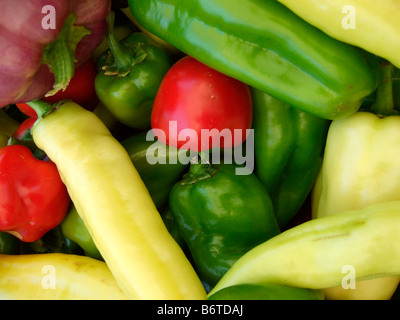 verschiedene süße Paprika, California Stockfoto