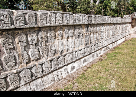 CHICHEN ITZA, Mexiko - Eine niedrige Mauer mit aufwendig geschnitzten Steinschädeln an den alten Maya-Ruinen in Chichen Itza, Yucatan, Mexiko. Chichen Itza befindet sich auf der Yucatan-Halbinsel in Mexiko und ist eine bedeutende archäologische Stätte, die die reiche Geschichte und fortgeschrittene wissenschaftliche Kenntnisse der alten Maya-Zivilisation zeigt. Sie ist vor allem bekannt für die Kukulkan Pyramide, oder „El Castillo“, eine vierseitige Struktur mit 91 Stufen auf jeder Seite, die in einem einzigen Schritt auf der Spitze gipfelt, um die 365 Tage des Sonnenjahres zu repräsentieren. Stockfoto