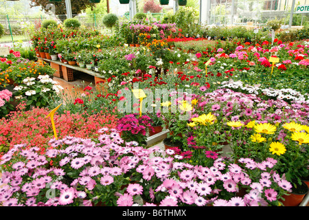 Garten-Center. Luchon (Frankreich) Stockfoto