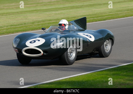 Beim Goodwood Revival meeting September 2008 Jaguar D-Type Longnose 1955 3800cc Gary Pearson Stockfoto