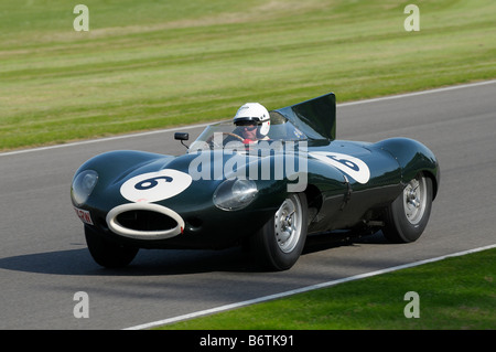 Beim Goodwood Revival meeting September 2008 Jaguar D-Type Longnose 1955 3800cc Gary Pearson Stockfoto