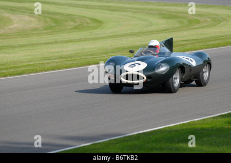 Beim Goodwood Revival meeting September 2008 Jaguar D-Type Longnose 1955 3800cc Gary Pearson Stockfoto