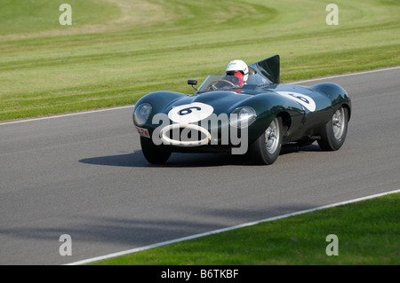 Beim Goodwood Revival meeting September 2008 Jaguar D-Type Longnose 1955 3800cc Gary Pearson Stockfoto
