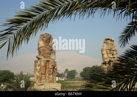 Die Memnon-Kolosse sind zwei massiven steinernen Statuen von Pharao Amenhotep III am Westufer des Nils. Stockfoto