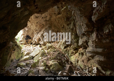 Devils Coach House Jenolan Caves Blue Mountains New South Wales Australien Stockfoto