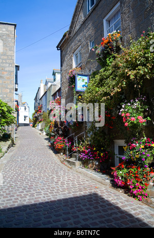 Gepflasterte Straße in St Ives, in der Nähe von Penzance West Cornwall UK Stockfoto