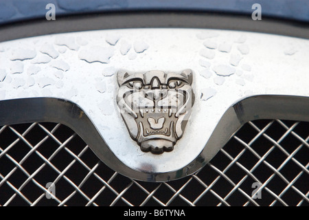 Jaguar-Logo auf dem Auto Stockfoto