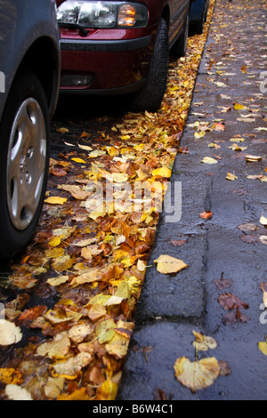 Laub in der Dachrinne Stockfoto