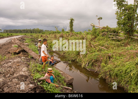 Indonesische Kinder Angeln in einem Entwässerungskanal geschnitten um ehemalige Torf Wald Sumpf für Palmöl-Plantagen zu löschen Stockfoto