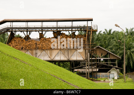 Turangie Palm Ölmühle in Sumatra, Indonesien Stockfoto