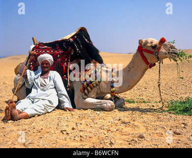 Beduine mit Kamel-Gizeh-Plateau-Cairo-Ägypten-Nordafrika Stockfoto