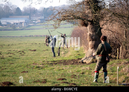 Fasan schießen, Somerset UK. Stockfoto