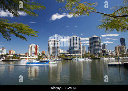 Dockside Apartments Kangaroo Point Brisbane River und City Cat Personenfähre Brisbane Queensland Australien Stockfoto