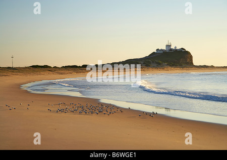 Nobbys Strand und Nobbys Kopf Newcastle, New South Wales Australien Stockfoto