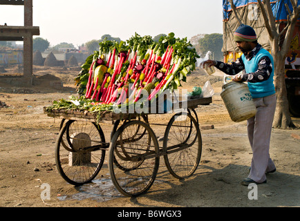 Indien HARIDWAR Anbieter Spritzwasser auf schöne Darstellung von Obst und Gemüse in seinem Wagen zu verkaufen Stockfoto