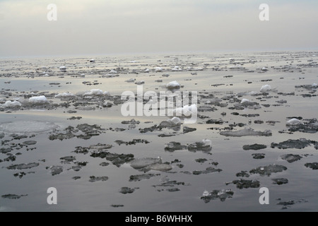 Große Auswahl von schmelzendem Eisstücke im Lake Michigan Stockfoto