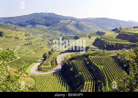 Weinberge in den Bergen des Kaiserstuhls Stockfoto