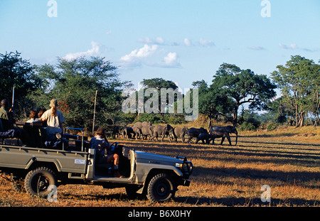 Sambia, South Luangwa Nationalpark. Eine Familie Uhren eine Herde Elefanten auf eine Safari-Fahrzeug. Stockfoto