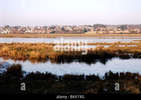 Das Naturschutzgebiet Pulborough Brooks RSPB in West Sussex Stockfoto