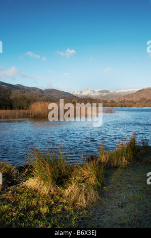 Sonnenlicht auf Elterwater See im englischen Lake District mit Schnee bedeckt Langdale Pikes Bergen im Hintergrund Stockfoto